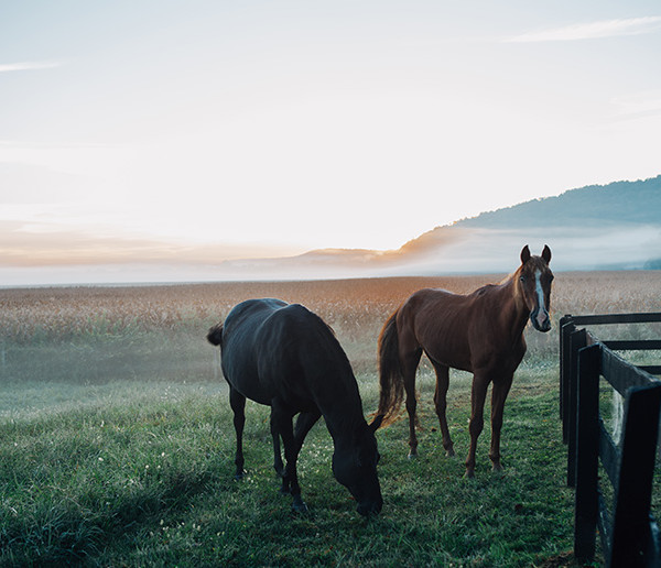 Top Free Stock Photo Websites to Save You Time, Hassle and Money