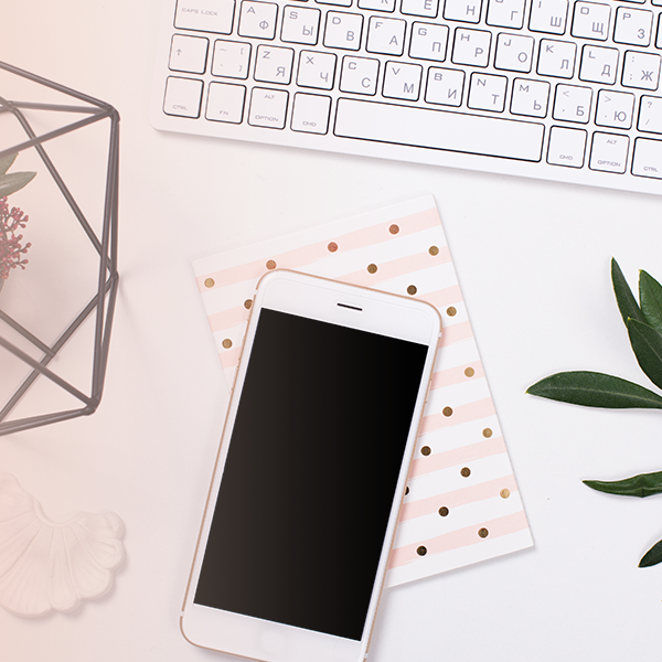 An Internship at Milkbar Digital